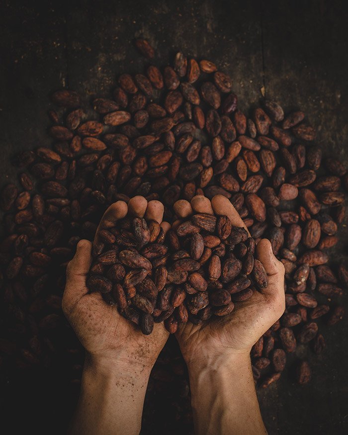 Propiedades del cacao colombia Foto: Pablo Merchan Montes en Unsplash