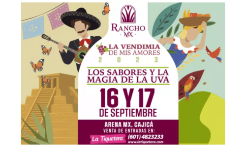 Festival de vinos