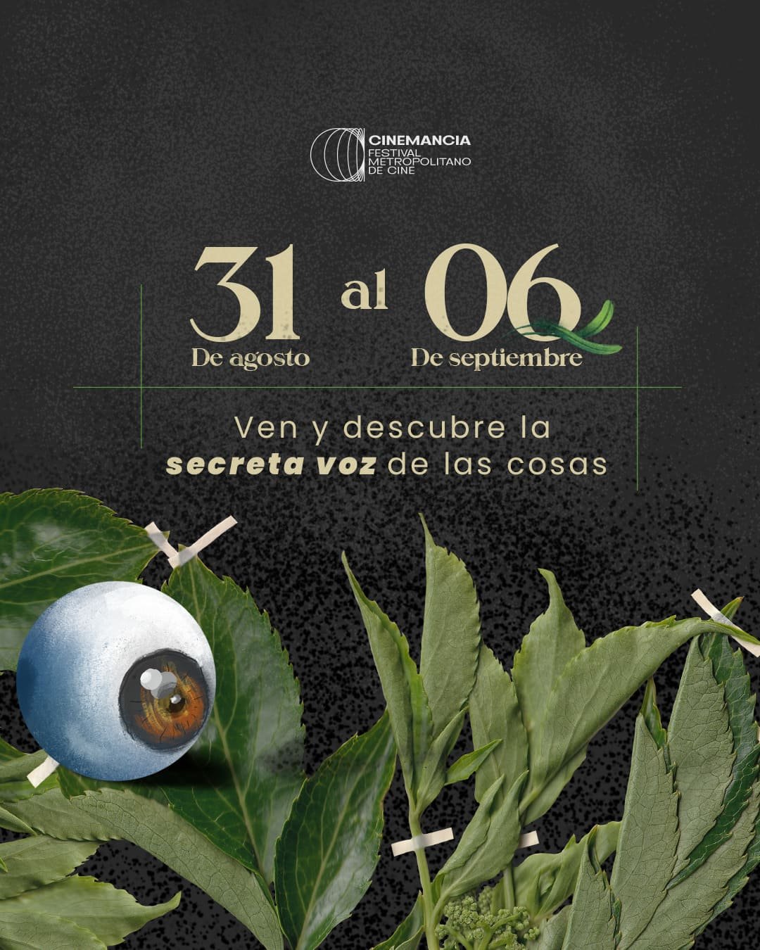 Cinemancia Festival Metropolitano de Cine