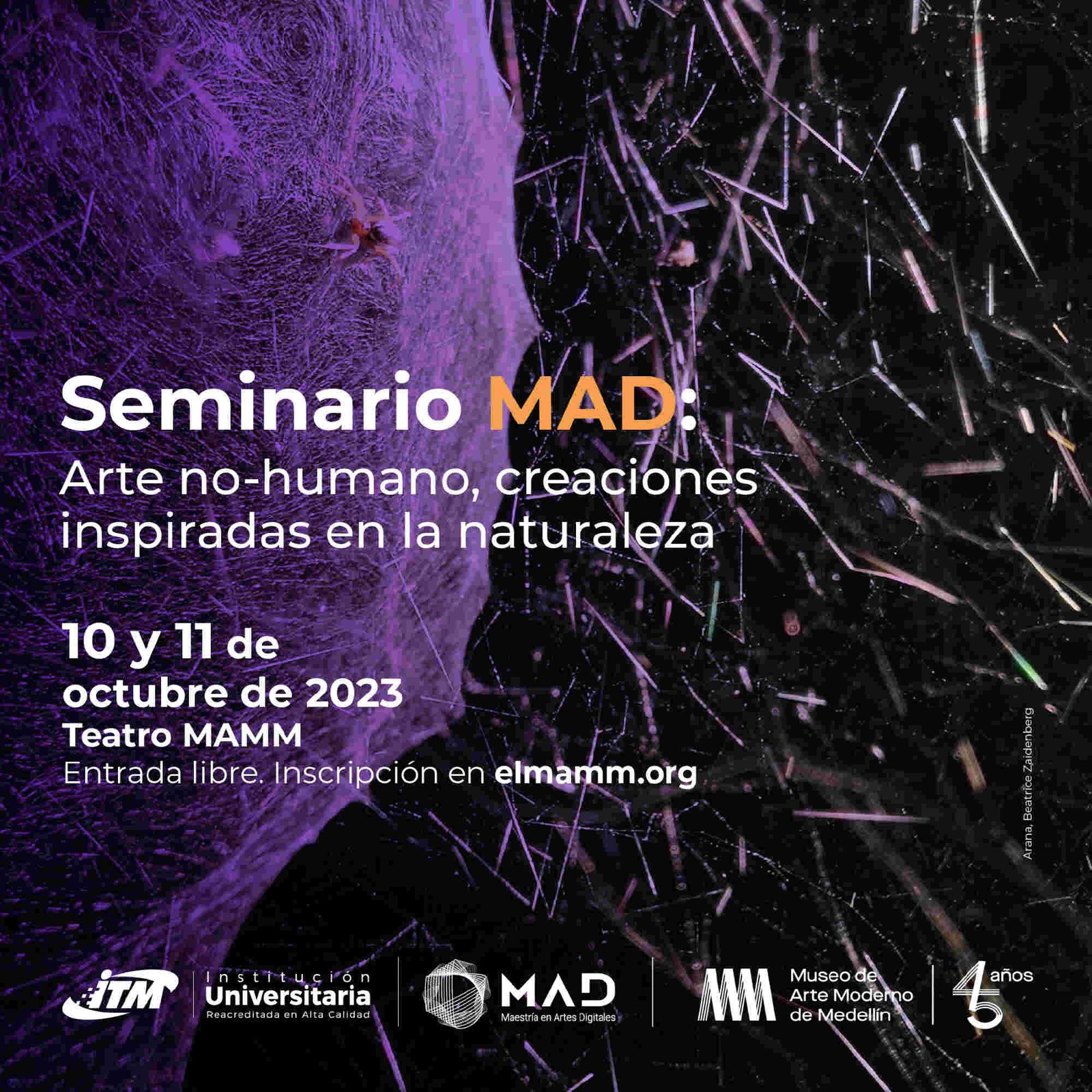 Seminario MAD: Arte no-humano, creaciones inspiradas en la naturaleza