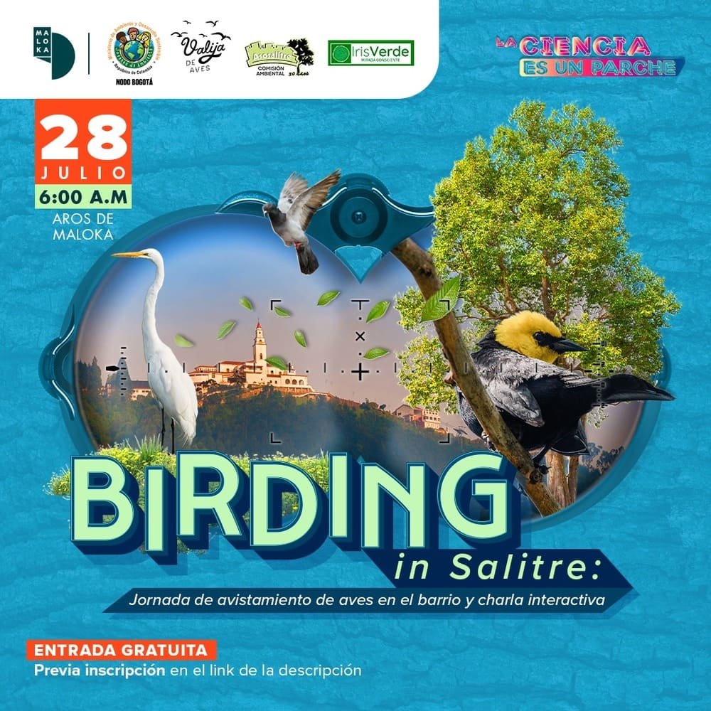 ¡Birding in Salitre!