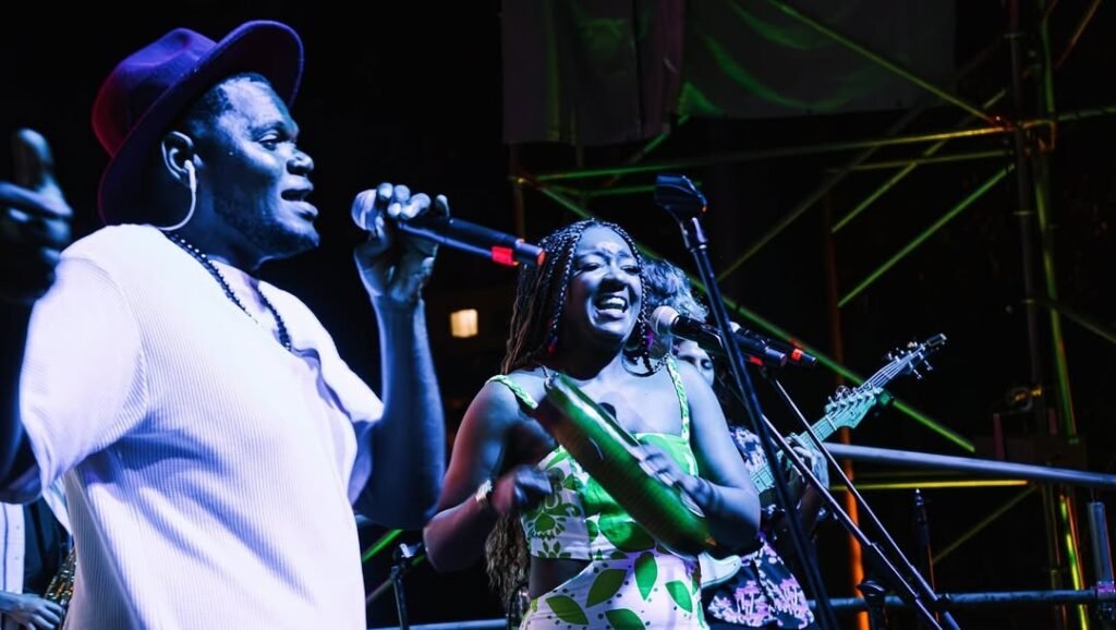 Imagen tomada de @lamojarraelectrica